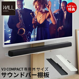 yؓT2tzWALLCeAerX^hV3 COMPACT pTEho[I MTCY 95cm er erX^h ǂ悹TVX^h RpNg WALLIvV Xs[J[p