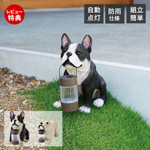 yXTtz\[[I[ig LED Ɩ z \[[ [d  _  h GgX  킢  K[fjO DOG O u^ hJ h ZT[  g