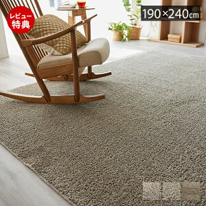 【豪華特典2個付き】ラグ 洗える 日本製 オールシーズン ラグマット 190×240 こたつ 北欧 おしゃれ 防ダニ 床暖房 ホットカーペット対応 絨毯 長方形 滑り止め ウォッシャブル リビング アイ