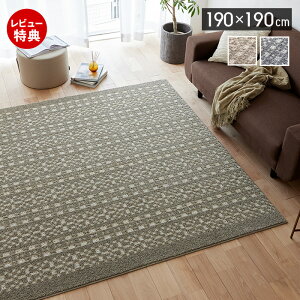 �y���ؓ��T2�t���z���O ���O�}�b�g ���{�� �J�[�y�b�g 190×190 �����` ����~�� �}�b�g ���g�[ �z�b�g�J�[�y�b�g�Ή� ���^����z HOT&COOL �V���v�� ������� �ۉ� �ۗ� �x�[�W�� �l�C�r�[ �p