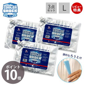 [6/4 20時～抽選で300%P還元]【当店限定特典付き】COOLER SHOCK クーラーショック 保冷剤 L 3個セット ソフト 強力 保冷パック ジェル 薄型 氷点下 高機能 医療技術 長時間 長持ち アウトドア キャンプ 災害 停電 レジャー 最強 防災グッズ クーラーボックス アメリカ