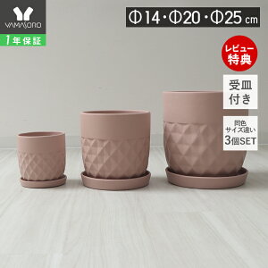 y1Nۏ&XTtzAؔ t[|bg ϗtA O[ 4 5 6 7 8 CeA  v^[ Mt M Z~bN  O  Jo[ 3Zbg 25cm 20cm