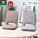 【1年保証&当店限定特典付】座椅子 折り畳み フロアチェア 2台セット コンパクト 北欧 シンプル おしゃれ チェア 一人掛け polako ポラコ ローソファ リクライニング 持ち手 イス 持ち運び 在宅ワーク ローテーブル こたつ