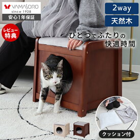 【LINE追加300円クーポン】ペットハウススツール ベッド 椅子 猫家具 小型犬 木製 天然木 ネコ用 イヌ クッション付き ふかふか 洗えるカバー ブラウン ホワイト ねこ 2way 高級感 インテリア 収納 落ち着く Noelia ノエリア