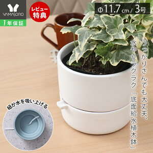 [X[p[SALE]y1Nۏ&XTtz㕔Aؔ O[ ϗtA t[|bg  v^[   RpNg CeA A T{e   s