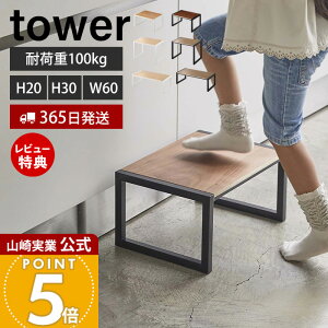 y365o&XTtzR ݑ ^[ tower  H30 W60 Xebv   փXc[ q r Xebv 20cm 30cm 60cm ω׏d100kg | ؖ ʑ Lb`