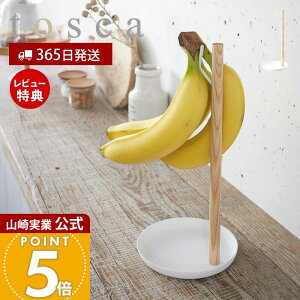 y365o&XTtzR oiiX^h gXJ tosca   oiiz_[ tbN X^h ۑ ۊ | ʕ t[c oii Lb`[ VR Vv 