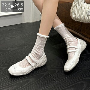 zSALEXj[J[ pvX oGV[Y  tbg 4Z`q[ V[Y  HR[f ^roG Xgbv y^R  t C y _炩 ₷ ɂ ɂ