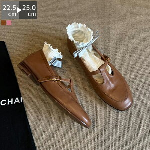 [t@[ C fB[X 1cmq[ [q[ tbg ؂ Xgbv R L y Vv ~ _炩 R[f t  H tH[} d d ʊw ʋ ItBX 