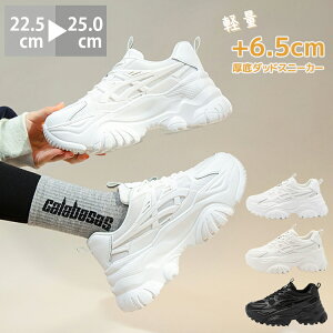 _bhXj[J[ Xj[J[ fB[X bVf ؍ _bhXj[J[ q[5.3cm 6.5rAbv C Xj[J[ fB[X _bhV[Y [Jbg {[̂ 