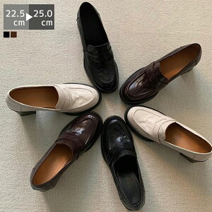 [t@[ C fB[X EhgD 5cmq[ 8cmq[ q[ q[ R L [hn ɂȂ R[f t  Vv _炩 d d ʊw ʋ ItBX w 