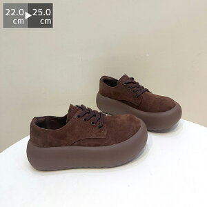 [t@[ C fB[X EhgD 5cm\[ XG[h  R L y R[f t  H ~ ɂȂ ~ _炩 r d d ʊw ʋ ItBX w uE 