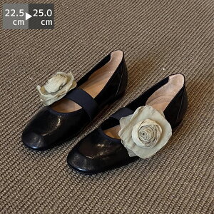 zSALEpvX [q[ ɂȂ ₷  [WF[ p[ fB[X Xgbv [q[ q[ ؍ t  H 22.5-25cm  ubN 