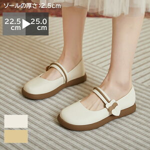 [t@[ C fB[X XNGAgD 2.5cm\[ tbg R L y _炩 炭 Vv ~ _炩 ɂȂ R[f t  H ~ d d ʊw ʋ ItBX 