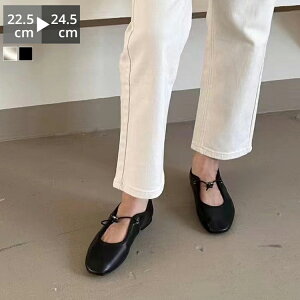 zSALEpvX tbg V[Y fB[X [q[ R [WF[ ₷ ɂȂ Ȃ  _炩 C ʋ d ʊw Vv l  ꂢ  