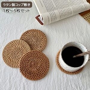 񖇃Zbg 10cm R[X^[  Rbv~ ~ Õ |bg~ |Cg Mtg v`Mtg ii Z~bN zR[X^[ i` Rf VR  ӂ ~ ꖇ`ܖ