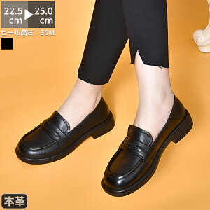 [t@[ C fB[X EhgD 3cmq[ q[ {v RC[t@[ vC R L y 炭 ɂȂ R[f t  H ~ tH[} ~ _炩 d d