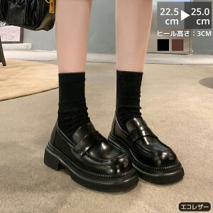 [t@[ C fB[X XNGAgD 3cmq[ q[ GRU[ RC[t@[ R L y _炩 ɂȂ R[f t  Vv ~ _炩 d d ʊw 