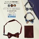 子供服 男の子 蝶ネクタイ＆ポケットチーフセット (2478-5462) CHOPIN blue/ショパンブルー [発表会 結婚式 入学式 卒園式 子ども服 お呼ばれ フォーマル キッズ お出かけ 冠婚葬祭 チェック クルマ ロゴ ワイン レッド ブラック ネイビー アクセサリー]買いまわり