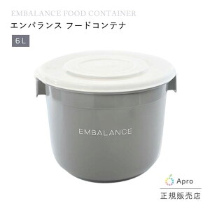 �G���o�����X�@�t�[�h�R���e�i 6L