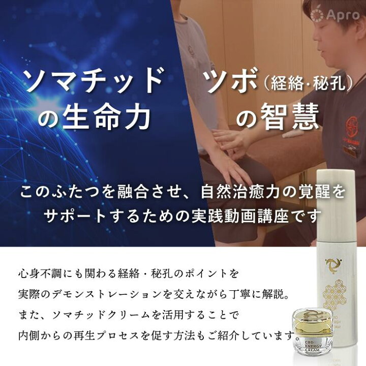 楽天市場】☆正規取扱店☆【ソマチッドエナジークリーム5ml 】【P10倍 