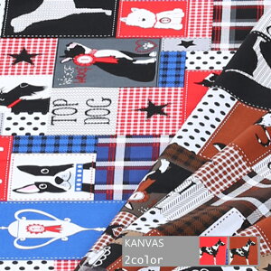 y[2m܂őΉzKANVAS(J@X) pb`[NfUČ̐ny50cmPʁzUSARbg | nhCh 킢 An 100 ȃV[`OyYz