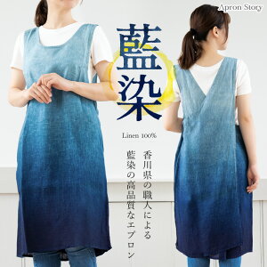 obNNXGv fB[X { Of[V t l y   Mtg 蕨 y}֑zyr[TΏہz