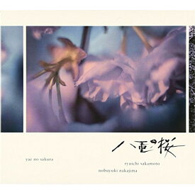 CD / 坂本龍一・中島ノブユキ / NHK大河ドラマ オリジナル・サウンドトラック 「八重の桜」II (紙ジャケット) / RZCM-59257