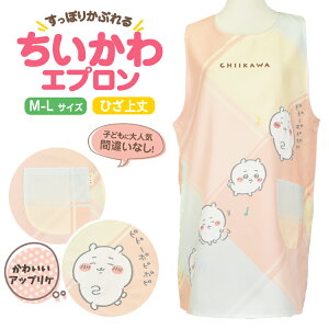 y10/9I|Cg10{z LN^[Gv QN̑̑ TCht AbvPhJ `FbN ۈm m lC 搶 ct V[g hmn-ha3724