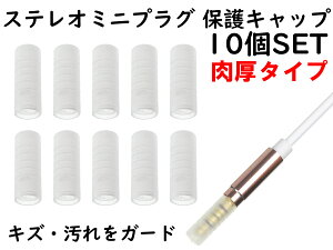 APS ANE XeI~jvO (3.5mm) p یLbv 10SET ^Cv NA[ ؂ȃCzwbhz̃vOی Jo[