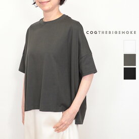 COG THE BIG SMOKE コグザビッグスモーク 14101-172-1417-1 NOA T SHIRT サイドタックTシャツ カットソー CRISP JERSEY - C14 | トップス 26SS 春夏