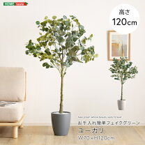 楽天市場】ユーカリジャパン 1124lの通販
