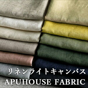 􂢂 lCgLoX 55Ԏ 50cmPʁyl n n  t  H ݃J[   CG[ sN nhCh z10