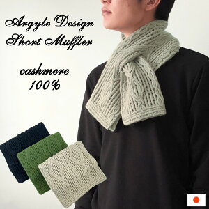 JV~100 ݃V[g}t[ argyle fB[X Y { IWifUC R[hhJ hJ H ~ h 蕨 Mtg v[g }t[ Xg[ ~j}t[ lb