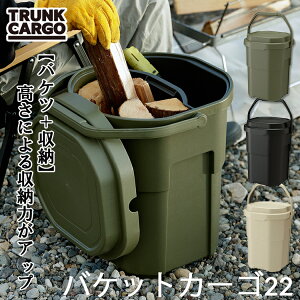 [ oPbgJ[S22 ] TRUNK CARGO gNJ[S c d [{bNX [P[X Rei{bNX AEghA Lv [BOX Wt t^t oXPbgJ[S X