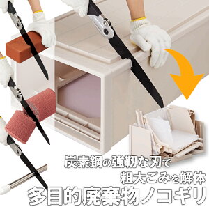 [ RWbg ړIp̂ ] mRM | e傲  vXeBbN XeX S ؂ ƒ낲 