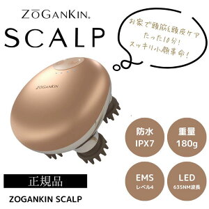 yzyKiz ][KLXJv EMS wbhXp 180g ZOGANKIN XJvuV uV VR eꔄ T }bT[W PA XJvPA CouleurLabo N[{