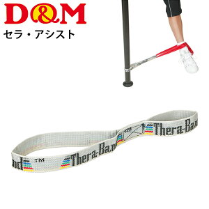 Zoh `[ug[jO ⏕ObY pi fB[G D&M ZEAVXg tBbglX GNTTCY W/DMS-DA80yz