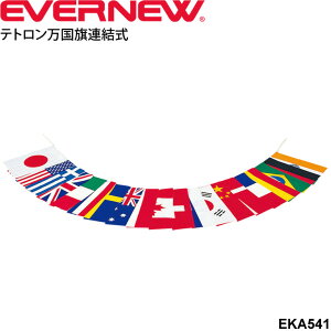  egA 20Zbg Goj[ EVERNEW  ̈pi wZpi i p ^ Cxg NG[V {/EKA541yz