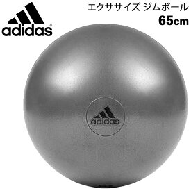 送料無料 バランスボール アディダス adidas エクササイズ ジムボール ポンプ付き 最大時直径65cm トレーニング フィットネス 体幹 インナーマッスル 体育用品 用具 器具 用品 グレー ADBL11246【取寄