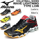 バレーボールシューズ メンズ ミズノ Mizuno WAVE LIGHTNING TYPE LOW 限定 当店オリジナルカラー 男性 ウエーブライトニング 練習...