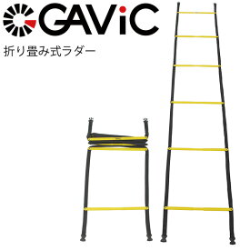 楽天市場 トレーニング ラダー 価格の通販