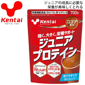  veC qp P^C Kentai WjAveC RRA 700g/J_Â h{@\Hi ς JVE S r^~D N̗͌/KTK-K2203yzyԕis