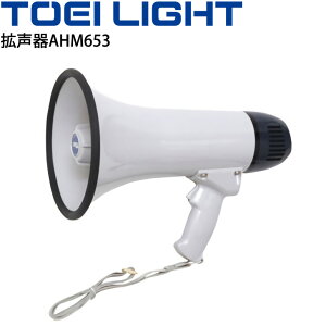  gAHM653 ̂ dr g[GCCg TOEI LIGHT OEh ̈pi hЗpi @ Kz wZ i p /B-3649yz