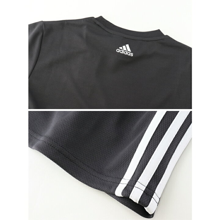 楽天市場 送料無料 半袖tシャツ ハーフパンツ 上下 メンズ セットアップ アディダス Adidas コンバットスポーツ スポーツウェア トレーニング ジム フィットネス 格闘技 男性 Combat Sports 2点セット 上下組 S21ktw1 Apworld