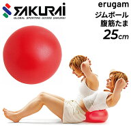 ジムボール SAKURAI erugam エルガム 腹筋たま 直径約25cm トレーニング用品 腹筋 体幹 運動 フィットネ…