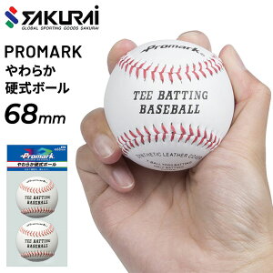 싅pi K CTCY SAKURAI PROMARK v}[N 炩d{[ 2/Lb`{[  S zCg TNCf/LB-141WHyzyԕiszyMtgsz
