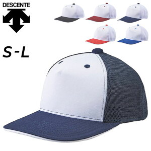 Xq 싅 x[X{[Lbv Y fTg DESCENTE BASEBALL tgplLbv/p^  ڂ  w `[/C-7001yzyԕiszyMtgsz