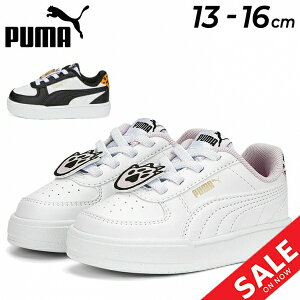 v[} xr[ LbY Xj[J[ 13-16cm qC  Nc LbYXj[J[/PUMA P[u v[} Cc AC Ct@g/X|[c JWA V[Y qǂ ǂ 킢 Aj} 