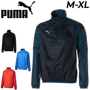  v[} sXeVc  Y v[} PUMA TEAMCUP PISTE TbJ[ 싅 Or[ ejX o[{[ X|[cEFA h EBhu[J[ EChu[J[ 1/4Wbv v